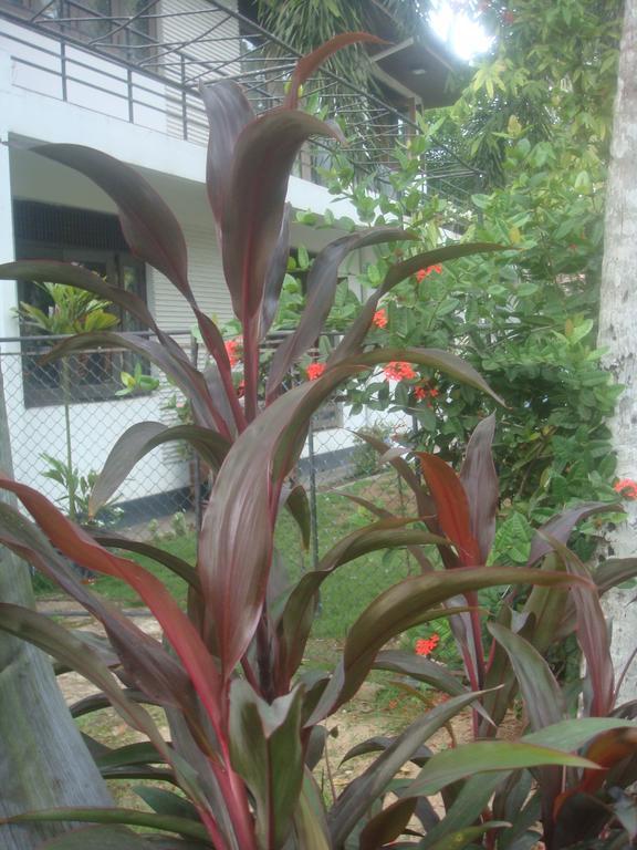 Iquest Colombo Apartment Nugegoda Exterior photo